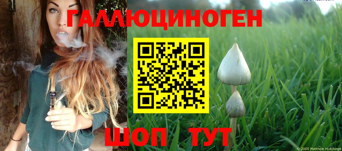 Галлюциногенные грибы мухоморы  Вход с VPN  Алатырь 